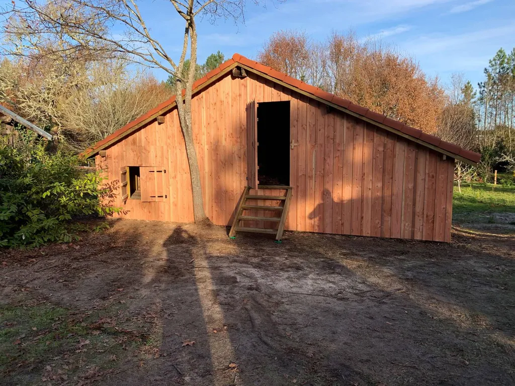 Rénovation intégrale d'une ancienne grange en bois avec du pin Douglas classe 3 à Sanguinet