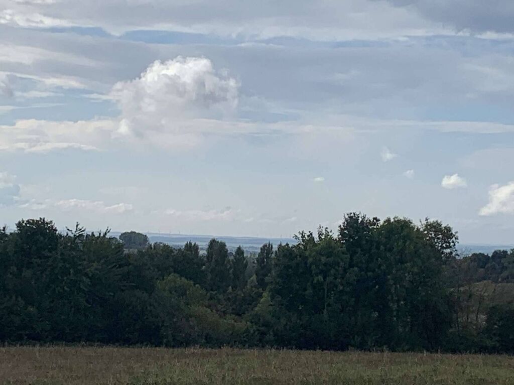 SUD PAYS D'AUGE CALVADOS  A VENDRE TERRAIN AGRICOLE DE 4 HA 70 A
