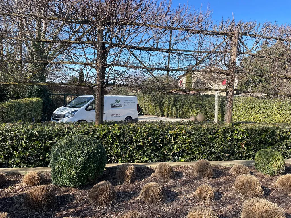 Taille des arbres dans un jardin à Roussillon dans le 84
