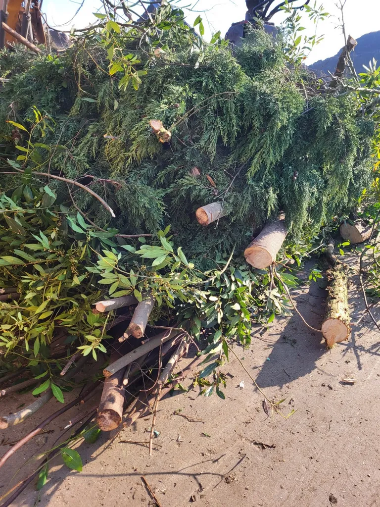 évacuer déchet vert le havre