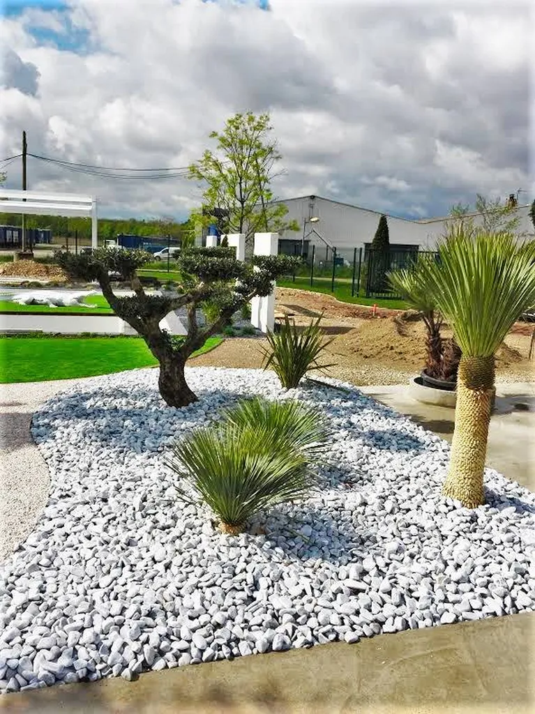Jardin d'arbres et galets nature