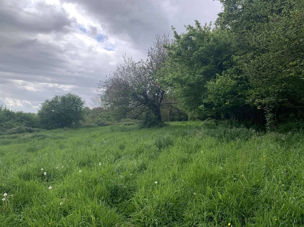 A ACQUERIR, parcelles en nature d'herbage de 6 hectares 37 ares, à proximité des commodités de VIMOUTIERS (ORNE), PAYS D'AUGE