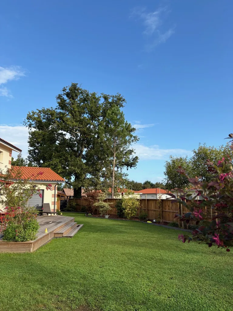 Aménagement complet de jardin à Mimizan – Création de massifs, plantation de vivaces et gazon micro-trèfle