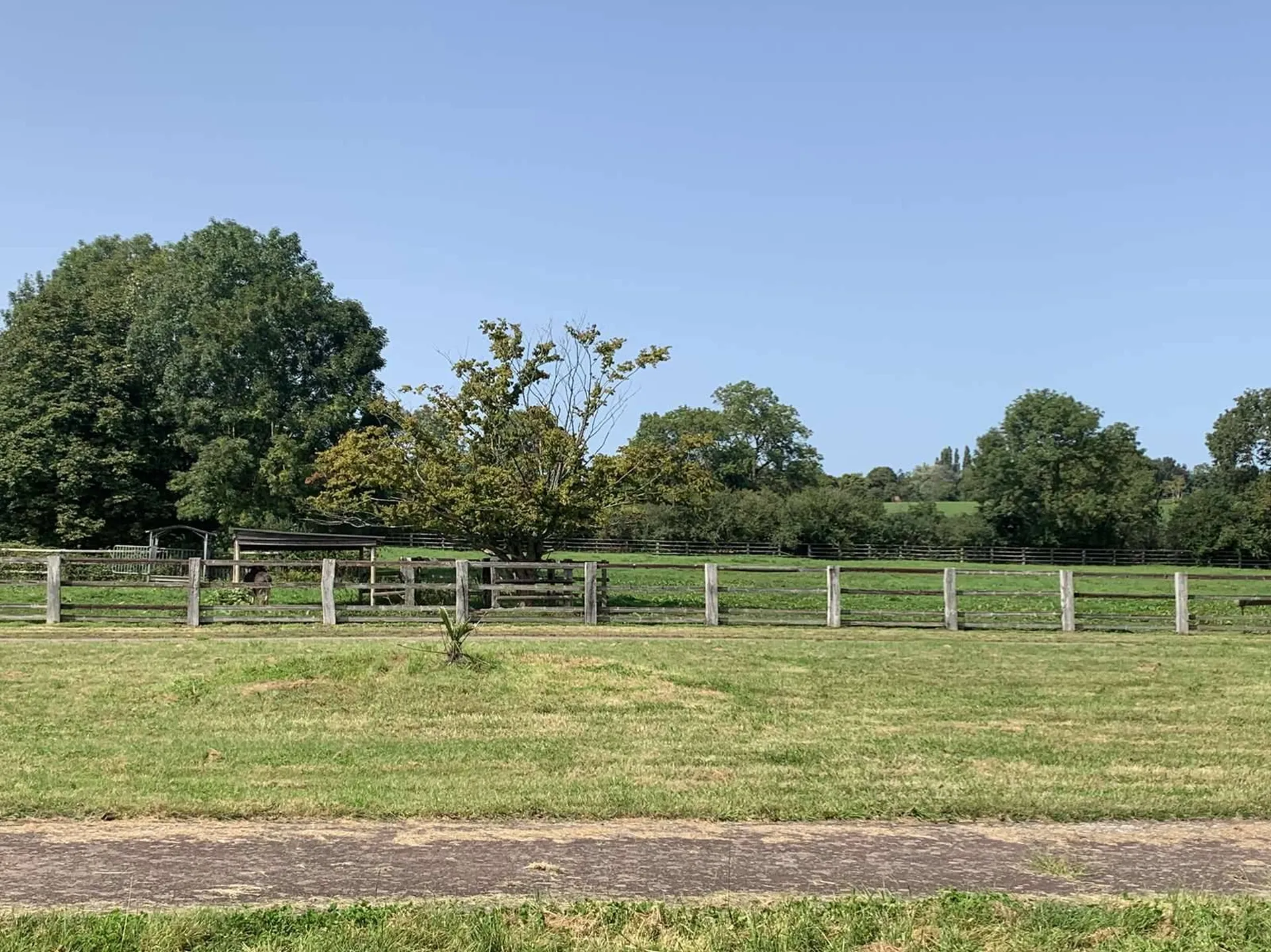 A acheter HARAS sur une surface de 19 hectares dans la région de BEUVRON EN AUGE 14430