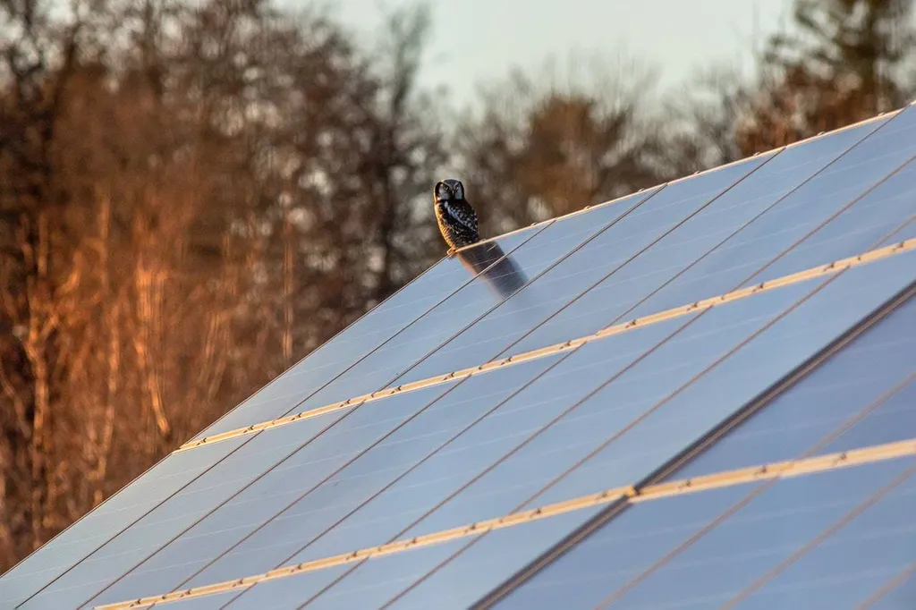 Comment bien entretenir et nettoyer ses panneaux solaires thermiques à Rouen ?