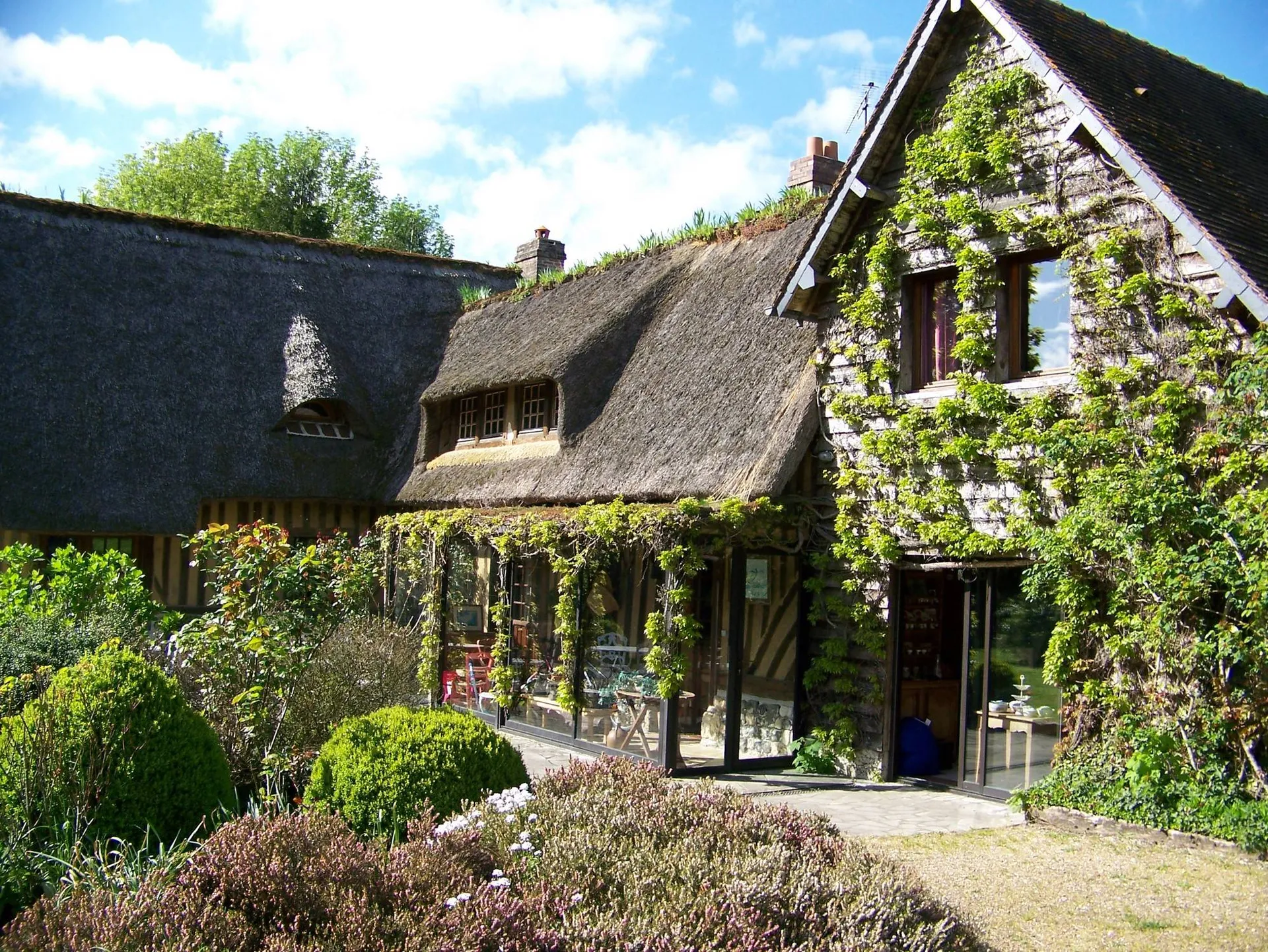 Achetez, belle et grande Normande, Honfleur 14