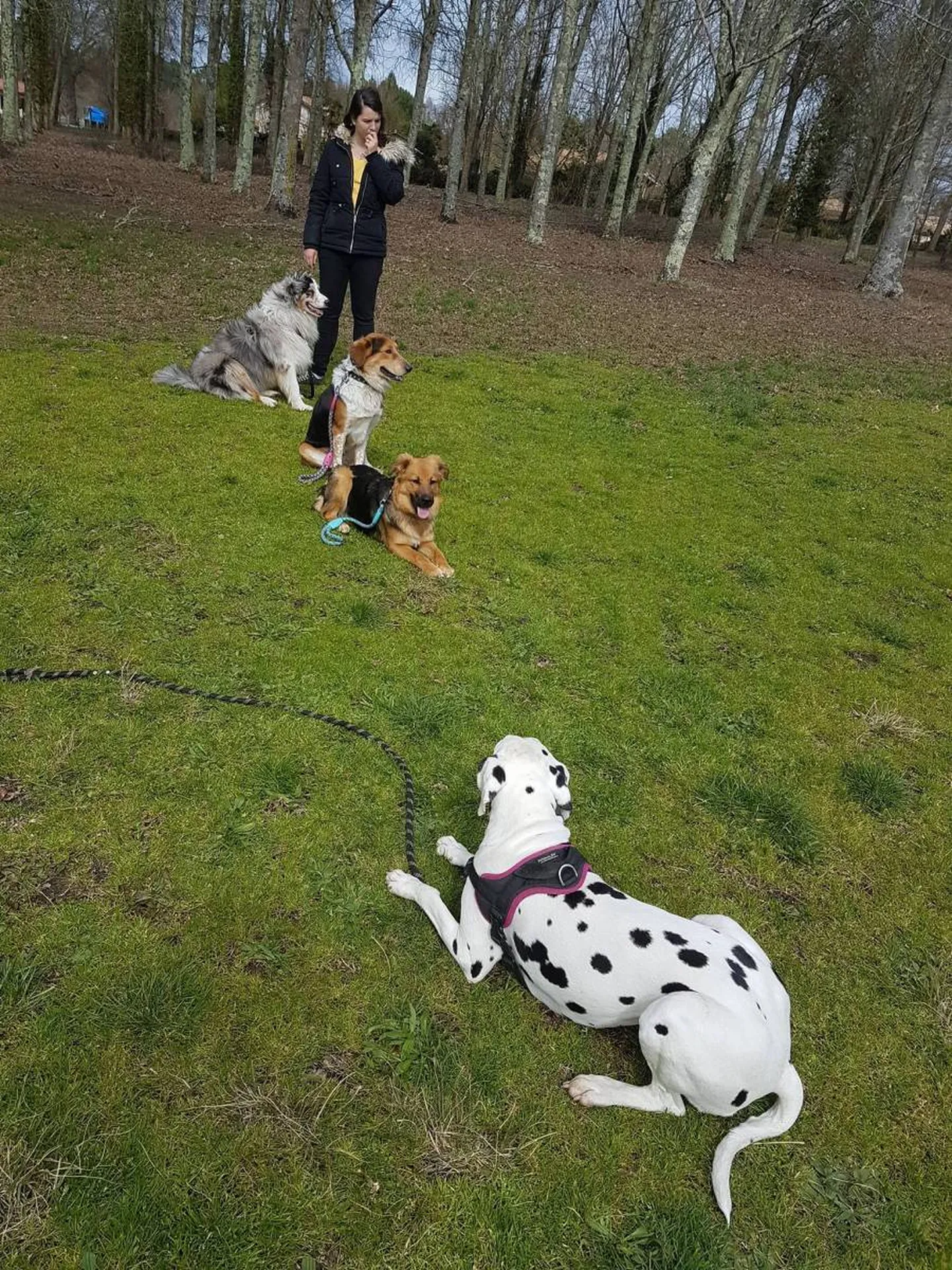 educateur canin proche du Barp en Gironde