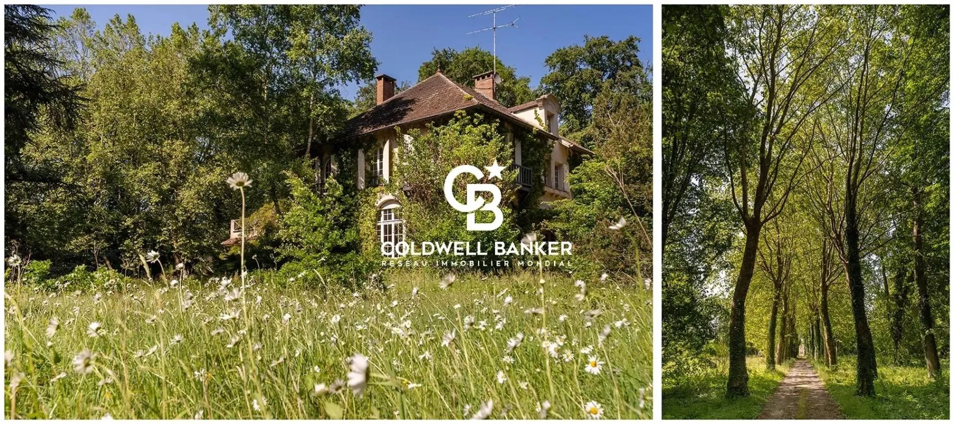 Propriété Années 20 avec accès forêt de Fontainebleau à Barbizon 77630 A vendre