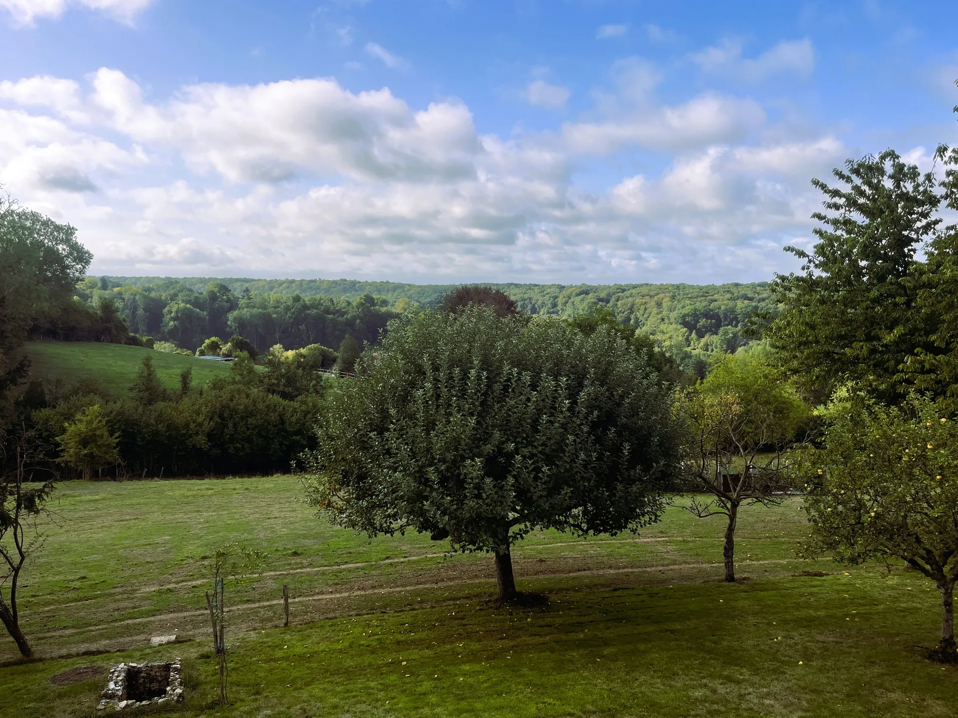 PROPRIÉTÉ NORMANDE – VUE EXCEPTIONNELLE – 4 HECTARES – CALME ABSOLU