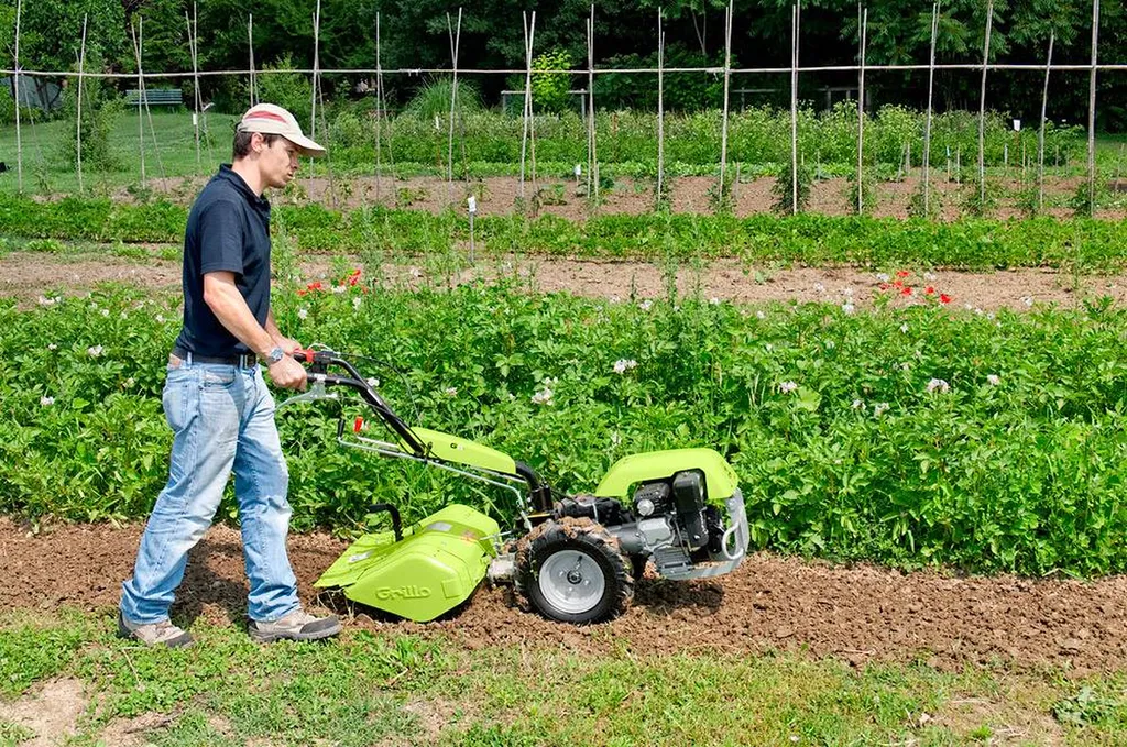 ACHETER G 55 MOTOCULTEUR GRILLO