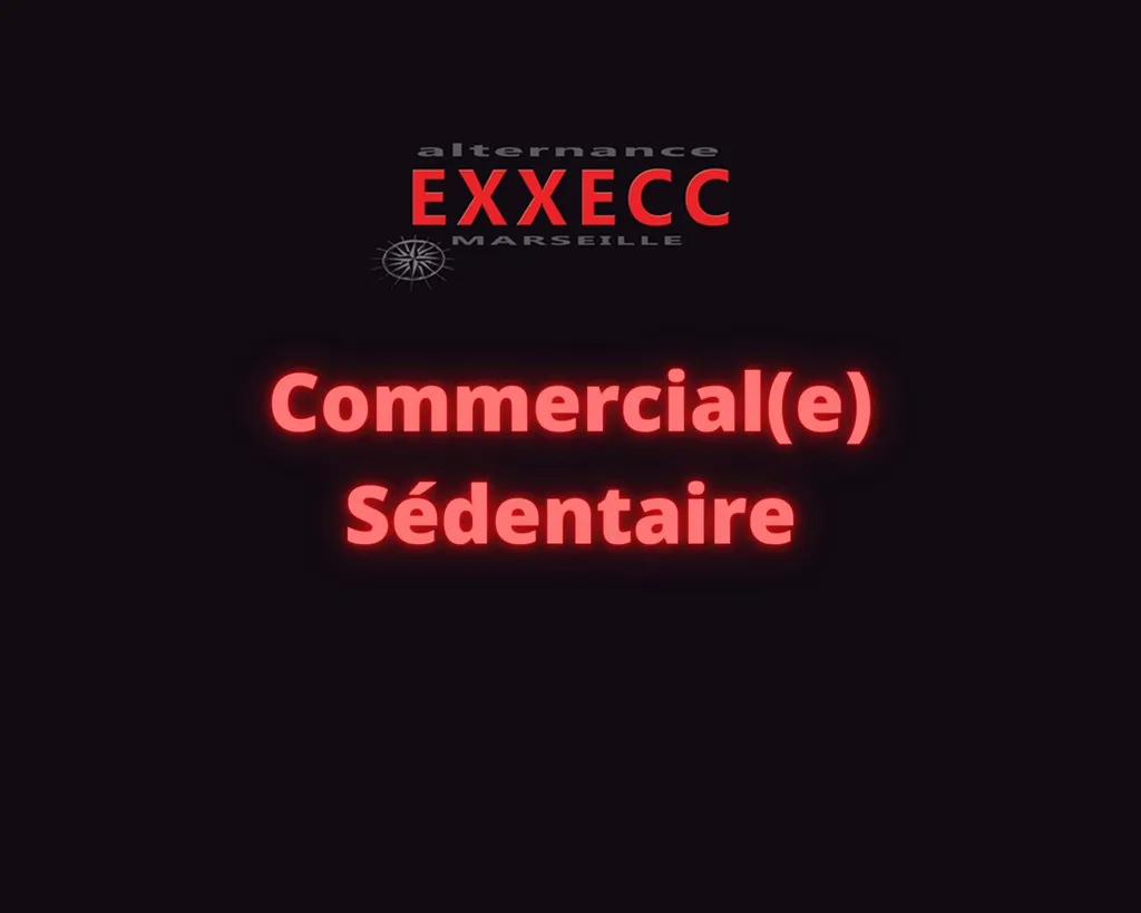 Commercial(e) sédentaire en CDD/CDI