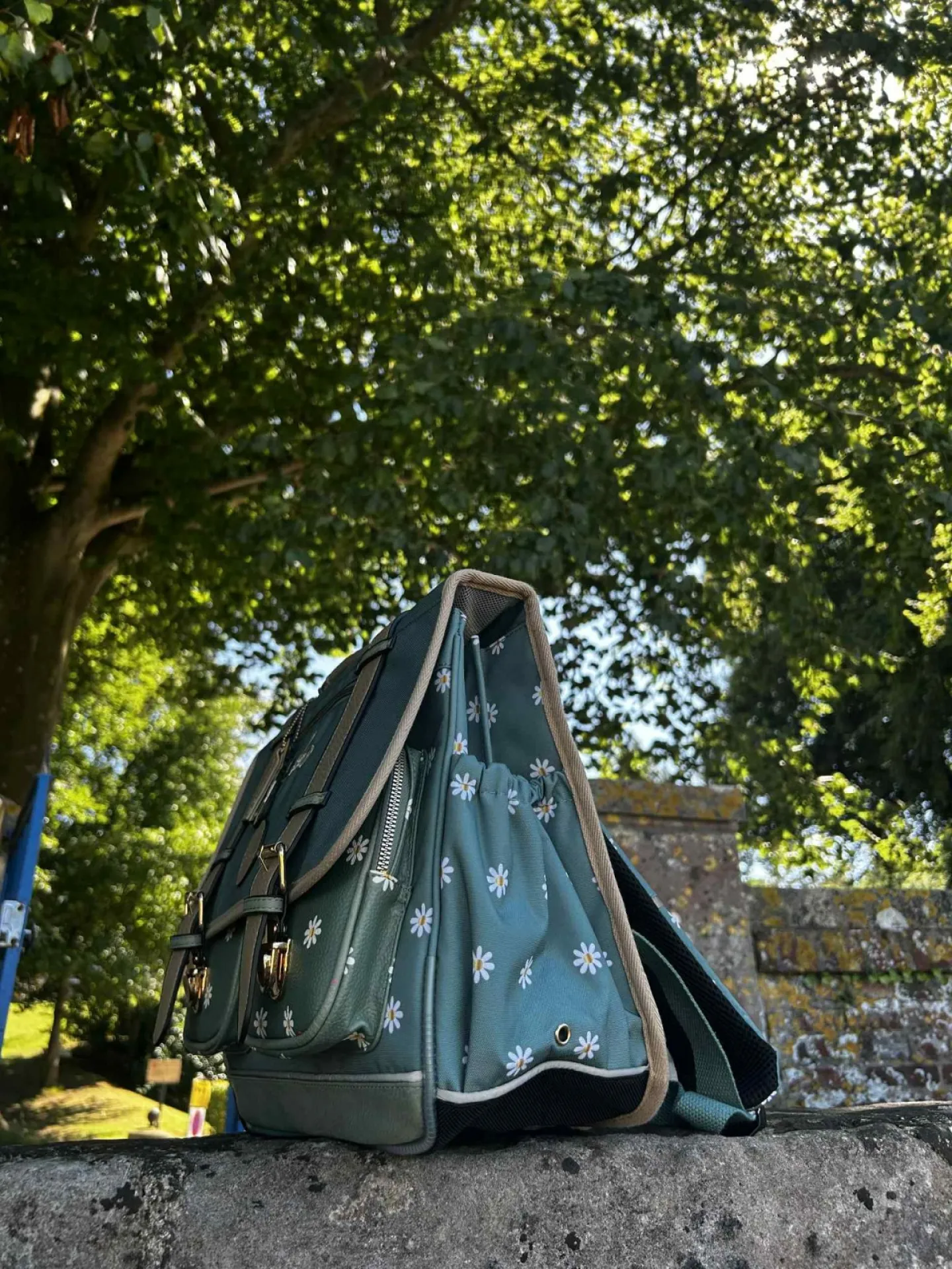 Cartable fille Caméléon 38cm pour le CP/CE1/CE2 indisponible chez Evasion Eu