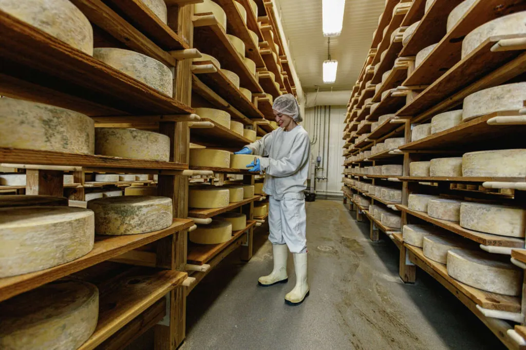 Biodéal – Spécialiste du fromage Bio et des produits laitiers responsables, fabriqués dans une filière française engagée