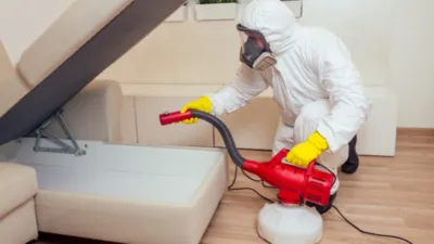 Traitement d'un logement par nébulisation chimique d'insecticide.