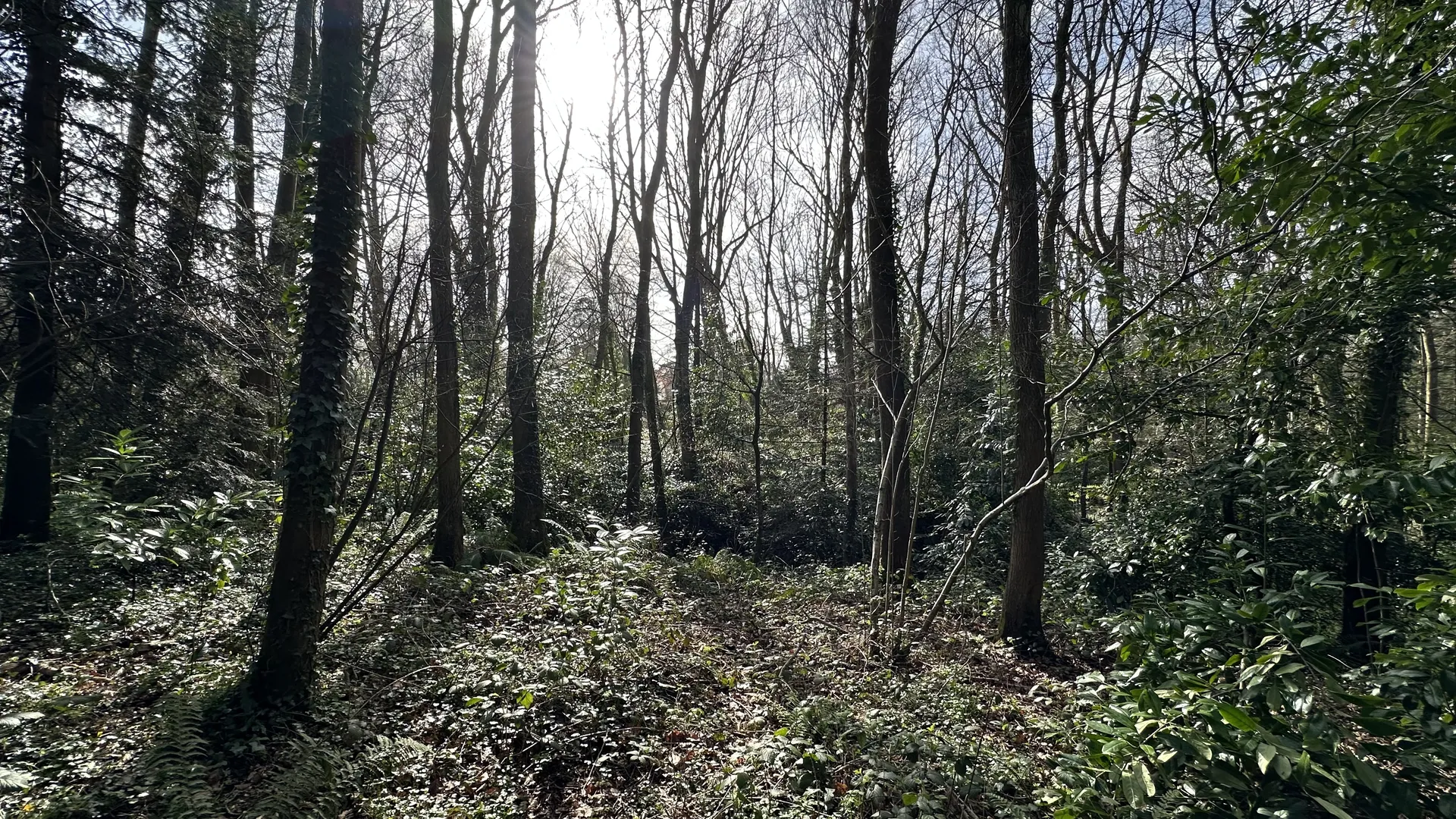 terrain constructible proche plage