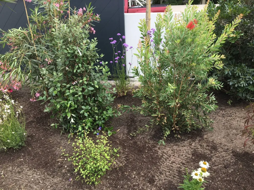 Plantation d'arbustes et de vivaces par un jardinier paysagiste