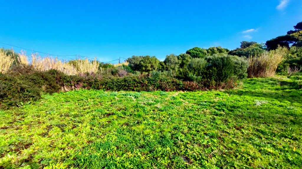 Terrain constructible vue mer à Hyères