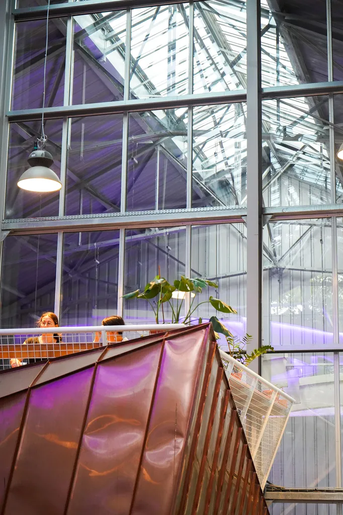 Nullam facilisis massa primis praesent ligula gravida