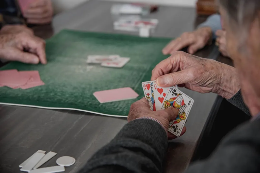 Atelier jeux de société dans établissement pour seniors dans le 30