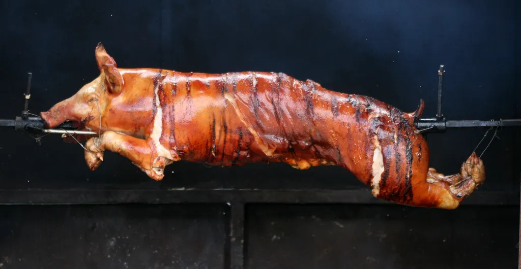Porcelet et cochon de lait