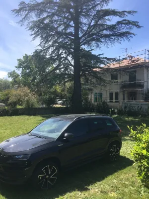 Abattage d'un arbre de grande hauteur à Sorgues