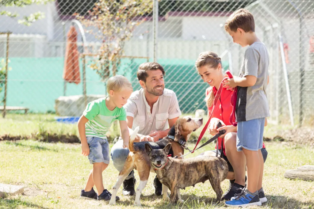 Valérie Guillet accompagne familles, enfants et animaux vers plus d’harmonie à Paris, grâce à la constellation familiale.