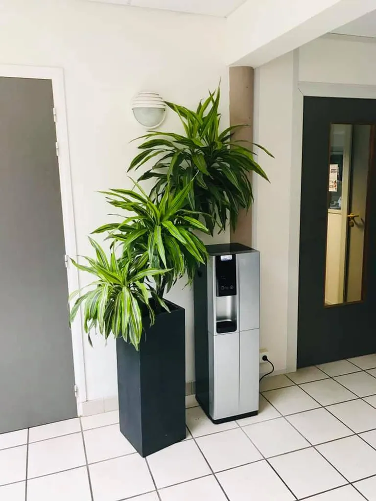 Fontaine à eau reconditionnée pour une entreprise, Le Havre 76600