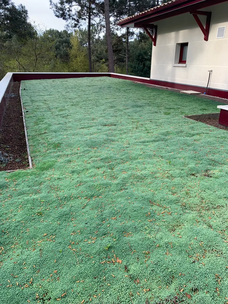 Professionnel de l’installation d’une toiture végétalisée à Biscarrosse