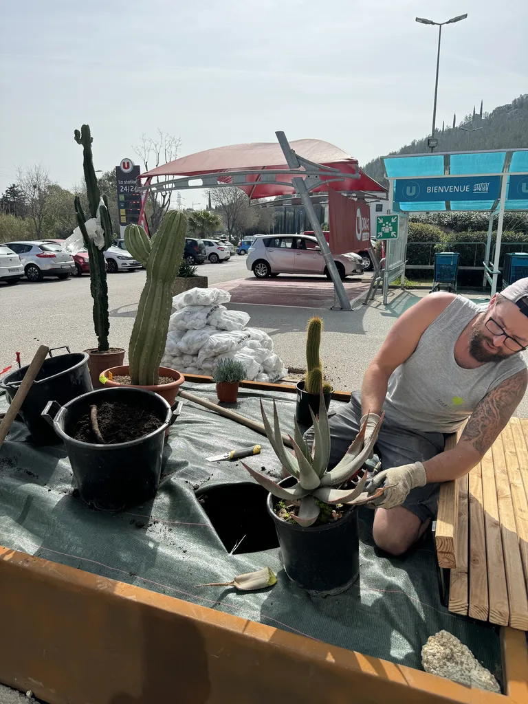 Rognage de souche et reprise d’enrobé à Bandol – Jardivar