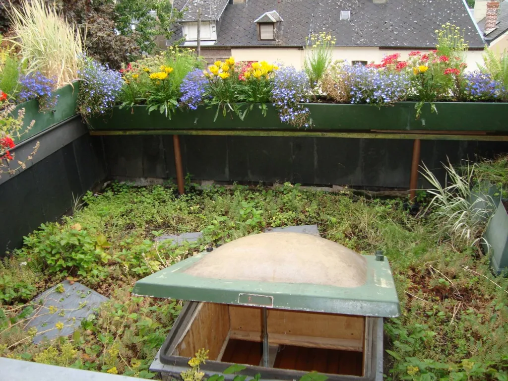 Toiture terrasse végétalisée à Bolbec