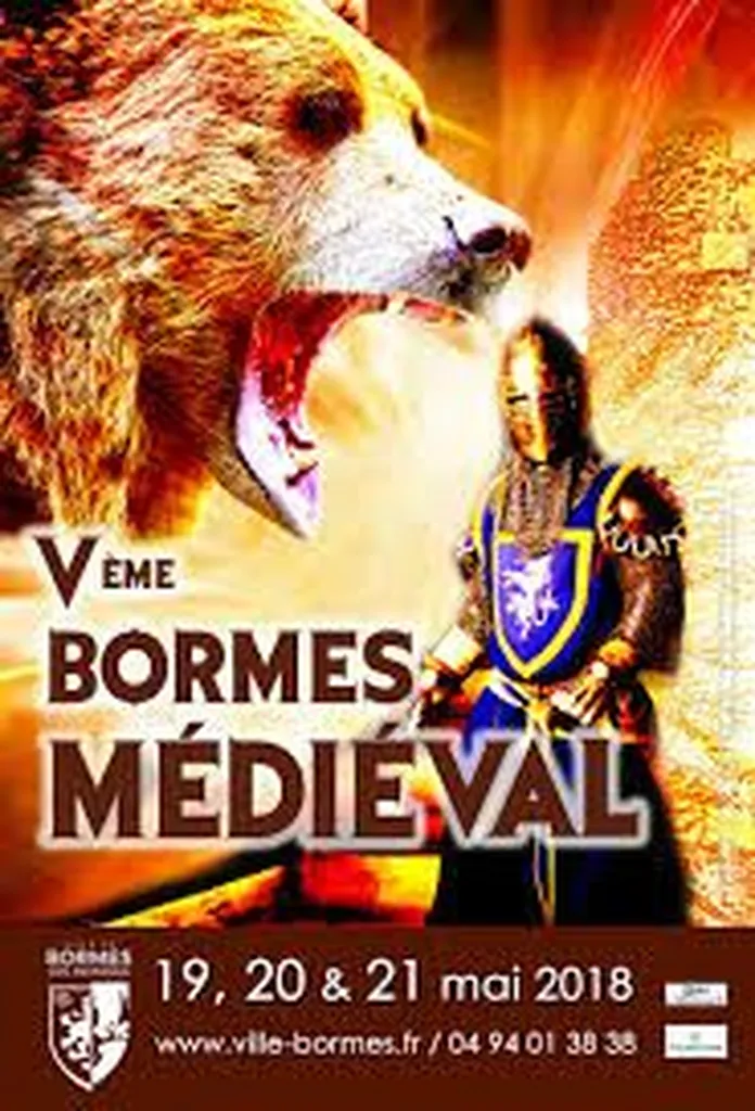 Nos prestations sur le secteur deBormes les Mimosas