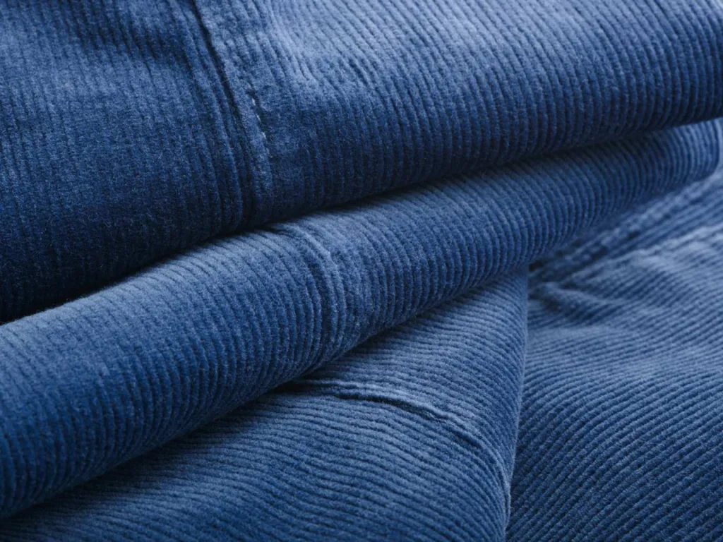 photographe zoom textile velours milleraies bleu