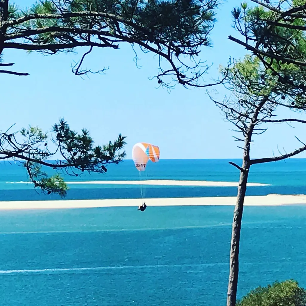 Annonces gouvernementales 25/03/2021 / Covid-19 : que faire sur le bassin d'Arcachon en avril ?