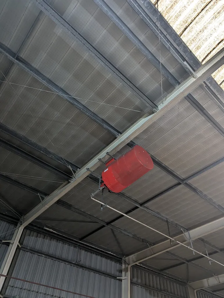 marseille pigeon OM je t'aime