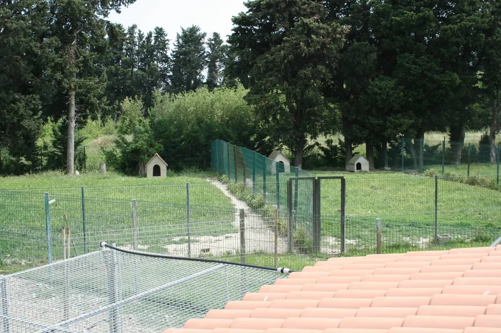 Garde d'animaux  PENSION CANINE ET FELINE au chenil CANY EXPRESS, situé à Avignon.