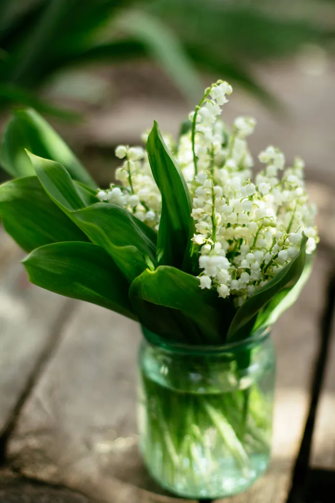 bouquet-muguet-salon-de-provence