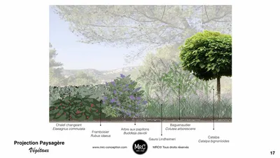 Prestations d'accompagnement pour vos aménagements extérieur et paysage par un Paysagiste concepteur à Allauch