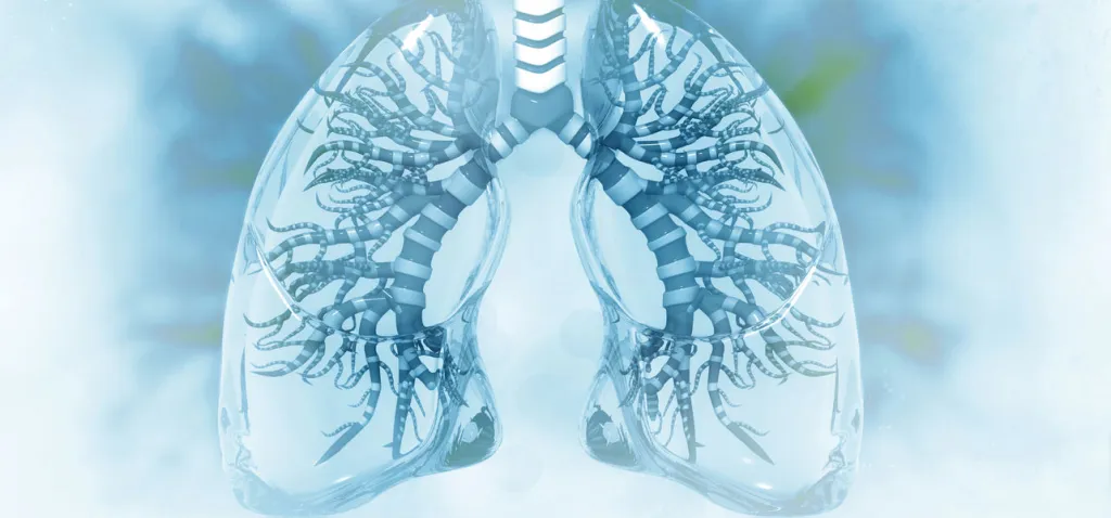 Vente et location de matériel de pneumologie en PACA