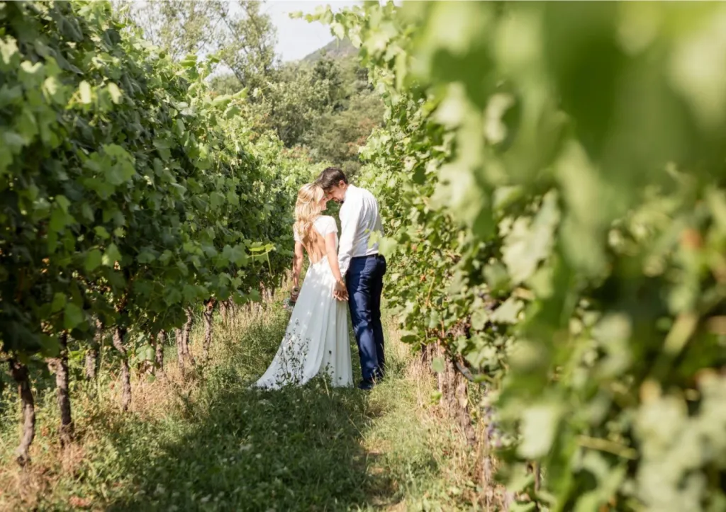 Construisez le mariage de vos rêves entouré de vignes dans un domaine viticole avec My Event' By Jenny