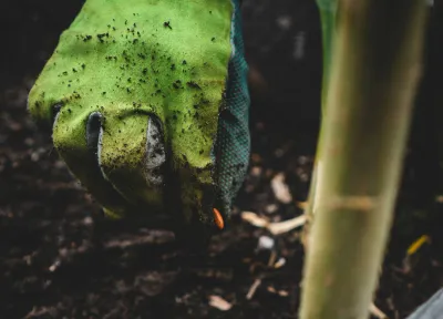 Paysagistes à Avignon experts en plantation de végétaux dans le Vaucluse