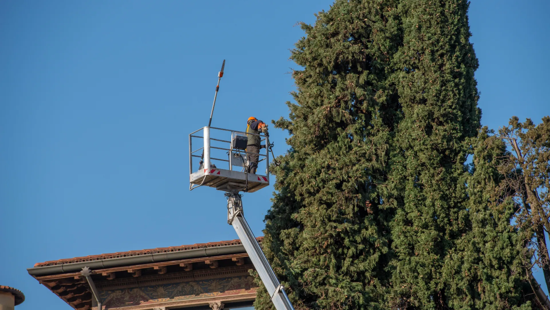 Carré Vert entreprise professionnelle d'élagage dans les Alpilles St rémy de provence