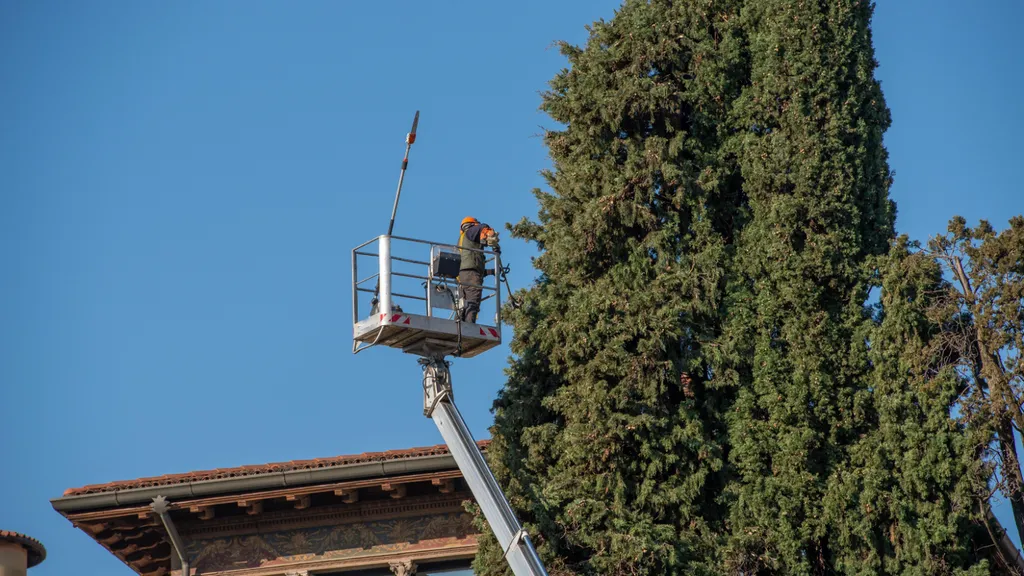 Carré Vert entreprise professionnelle d'élagage dans les Alpilles St rémy de provence