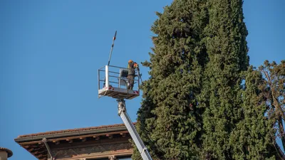 Carré Vert entreprise professionnelle d'élagage dans les Alpilles St rémy de provence