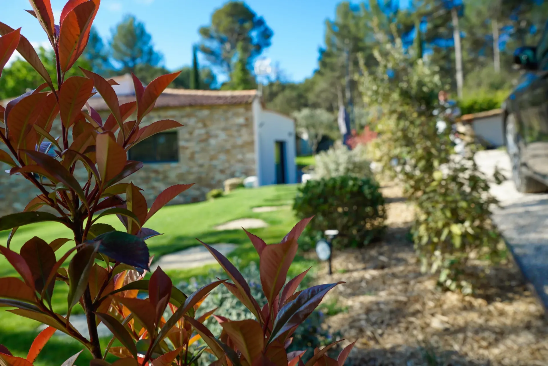 Changement des plantes Changement des plantes
