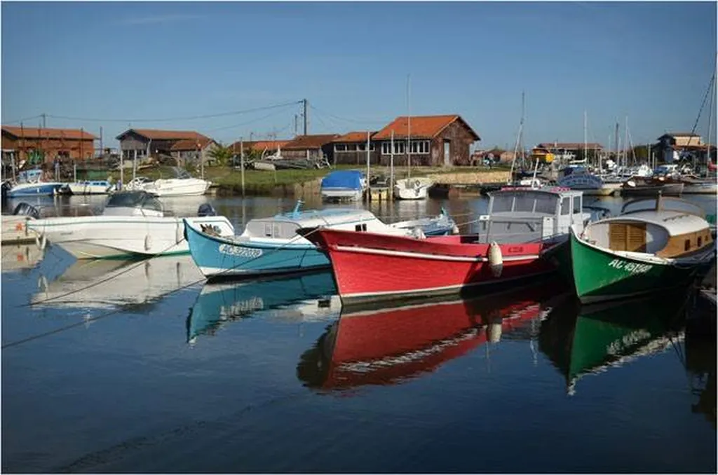 Une vue magnifique appréciée par les agents BSA