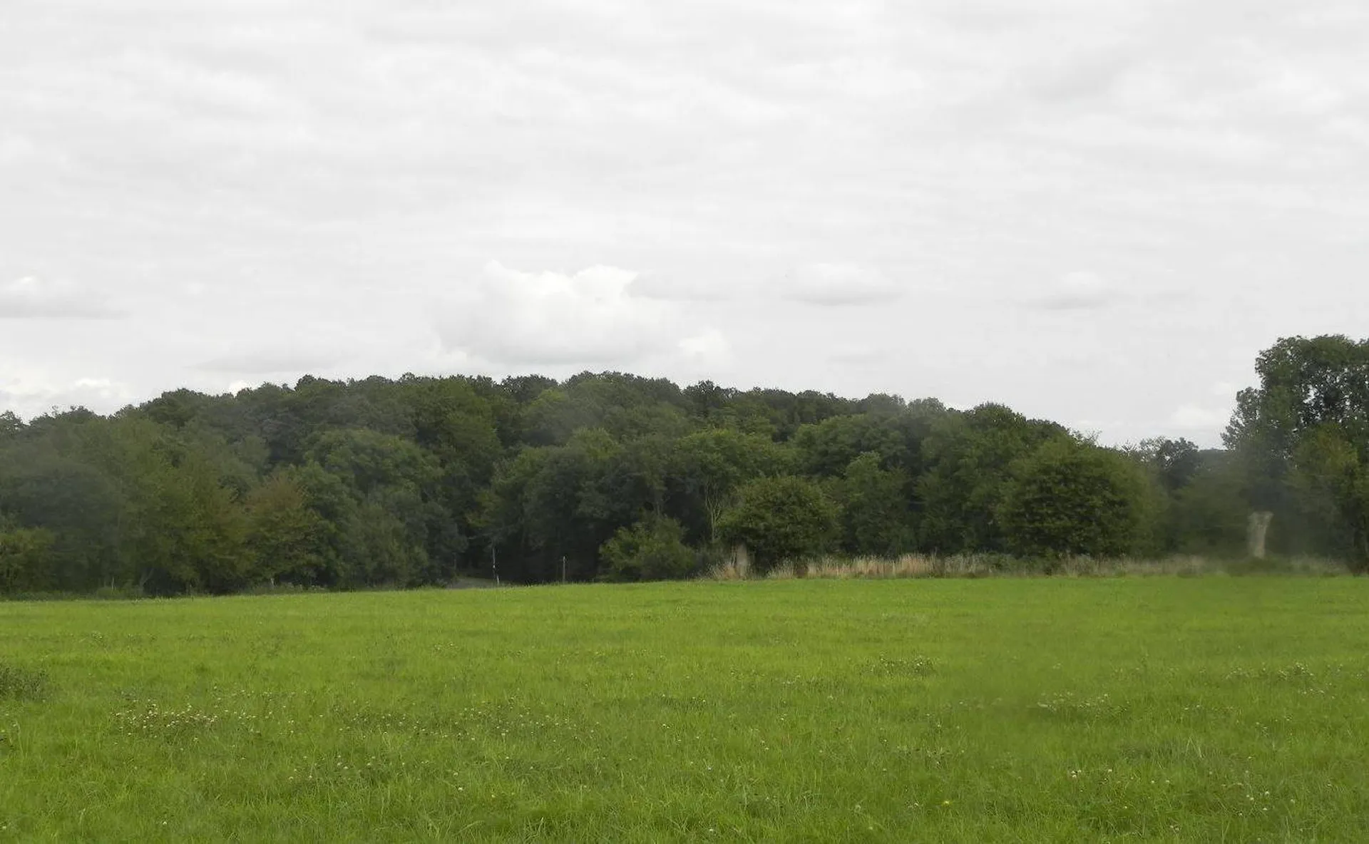 L'Agence Immobilière TERRES ET DEMEURES DE NORMANDIE située à LISIEUX 14100, 41 avenue Victor Hugo, vous propose de venir visiter ces terres agricoles de 7Ha10a proche de Sainte Marguerite des Loges 14140.