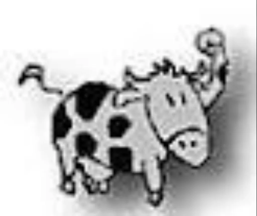 Attention aux publicités illusoires