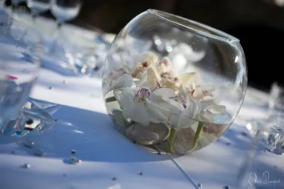 Mariage dans le Lubéron