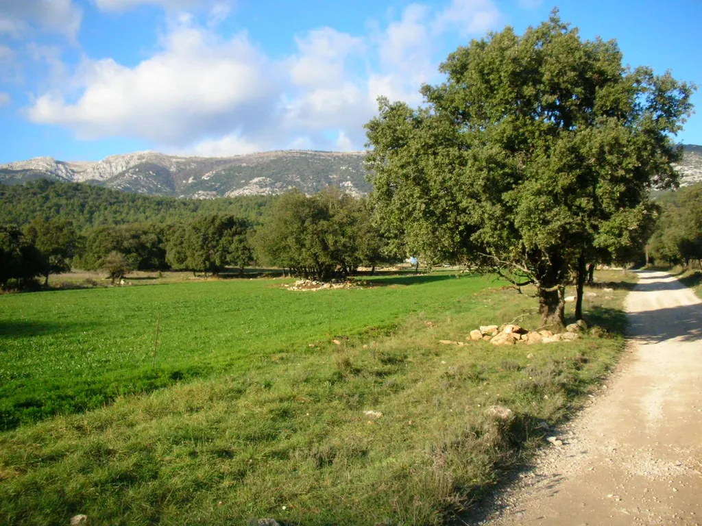 RANDONNÉE QUAD AU PIED DE LA SAINTE BAUME AVEC VISITE DE BERGERIE AVEC PASSAGERS
