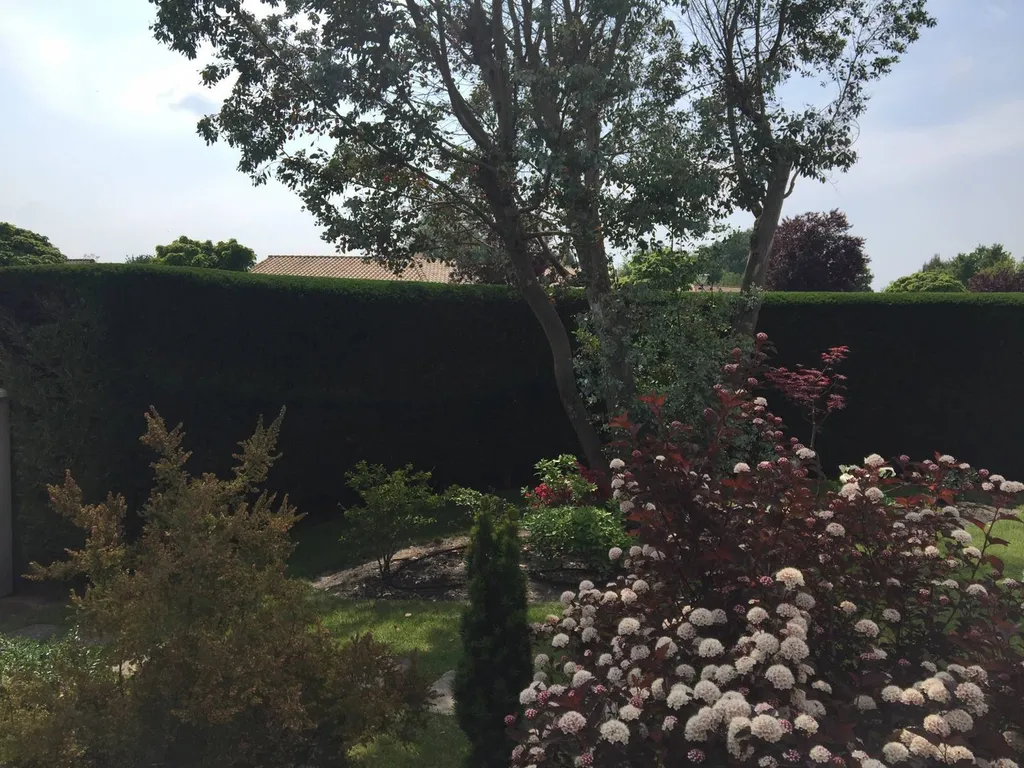 Trouver un jardinier pour la taille de haie sur une propriété située près d’Ychoux
